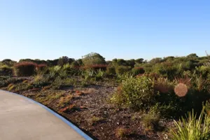 2025-06-21 Bartons Park - IMG_2510_compressed_q50.webp